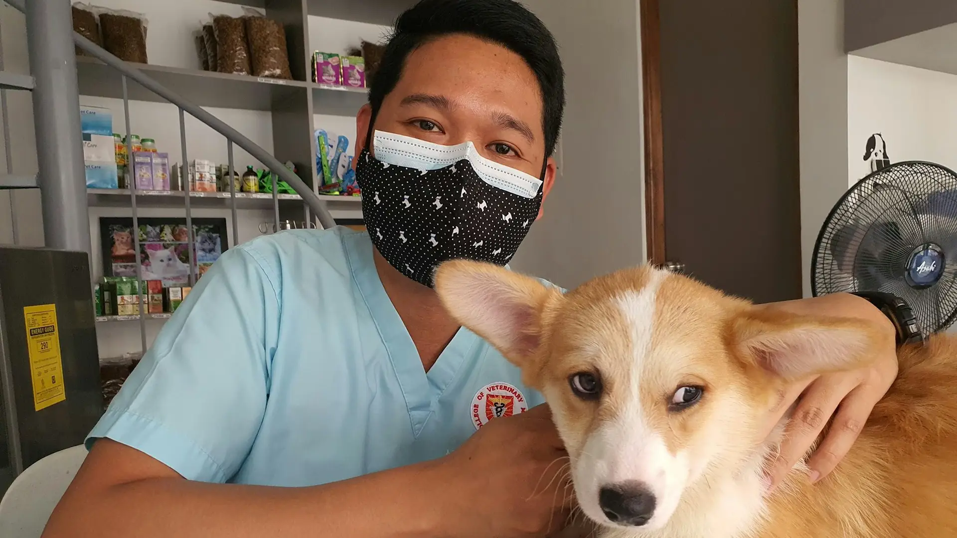 Máster de Formación Permanente en Gestión y Apoyo en Centros Veterinarios
