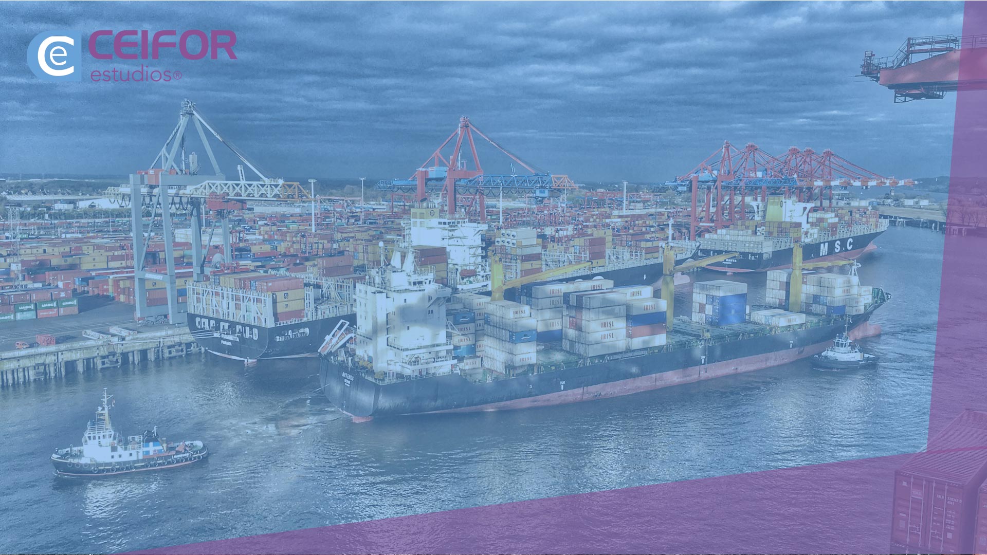 Comercio Internacional