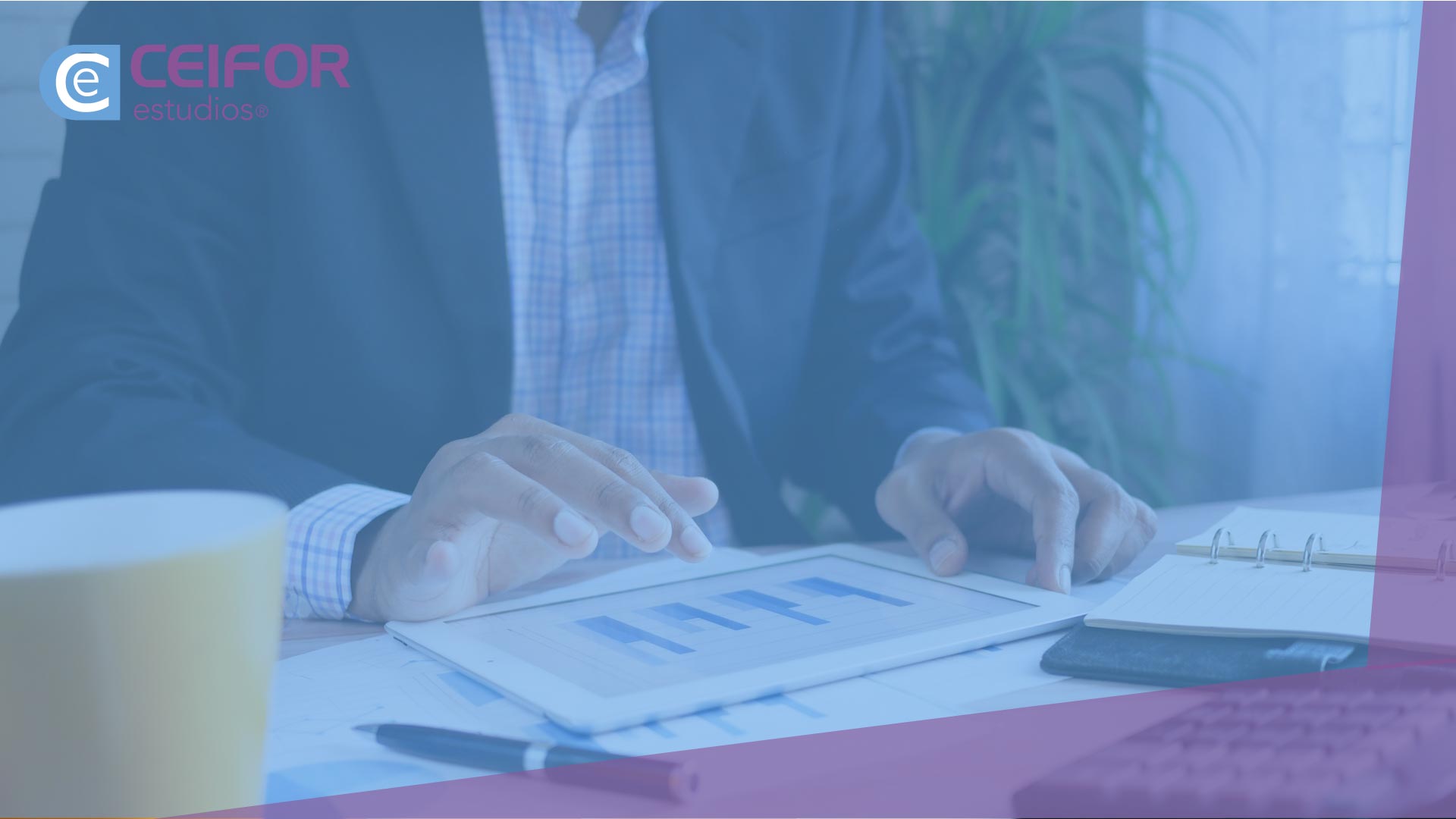Administración y Finanzas