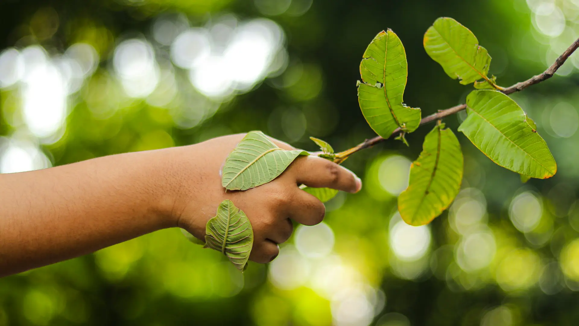 Agente Medio Ambiente Andalucía
